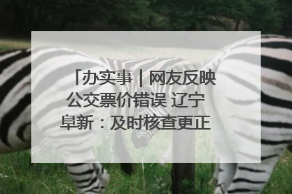 办实事｜网友反映公交票价错误 辽宁阜新：及时核查更正 加强实时巡检