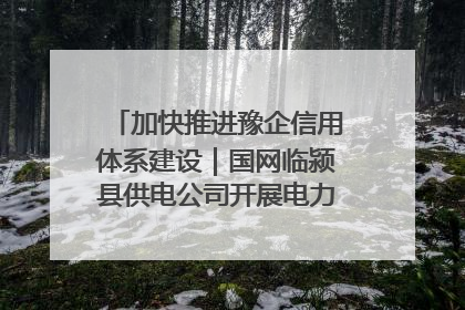 加快推进豫企信用体系建设｜国网临颍县供电公司开展电力行业信用企业现场咨询访谈工作