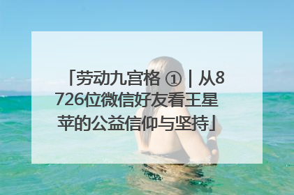 劳动九宫格 ①｜从8726位微信好友看王星苹的公益信仰与坚持