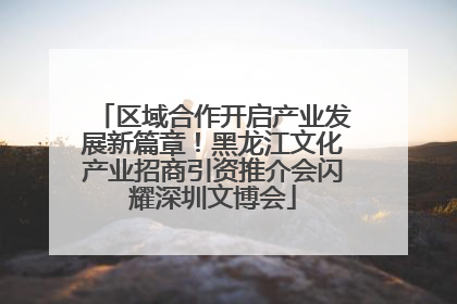 区域合作开启产业发展新篇章！黑龙江文化产业招商引资推介会闪耀深圳文博会