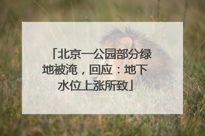 北京一公园部分绿地被淹，回应：地下水位上涨所致