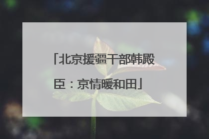 北京援疆干部韩殿臣：京情暖和田