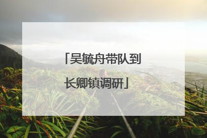 吴毓舟带队到长卿镇调研
