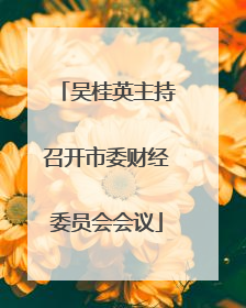 吴桂英主持召开市委财经委员会会议
