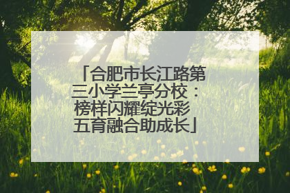 合肥市长江路第三小学兰亭分校：榜样闪耀绽光彩 五育融合助成长