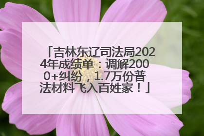 吉林东辽司法局2024年成绩单：调解2000+纠纷，1.7万份普法材料飞入百姓家！
