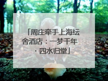周庄牵手上海纭舍酒店：一梦千年・四水归堂