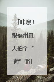 咔嚓！跟福州夏天拍个“荷”照