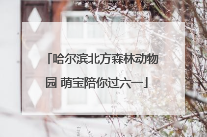 哈尔滨北方森林动物园 萌宝陪你过六一
