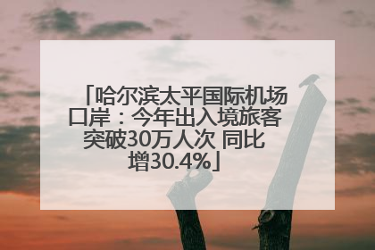 哈尔滨太平国际机场口岸：今年出入境旅客突破30万人次 同比增30.4%