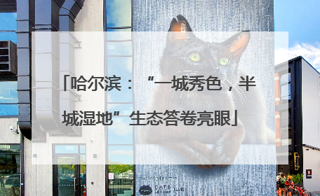 哈尔滨：“一城秀色，半城湿地”生态答卷亮眼