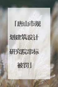 唐山市规划建筑设计研究院串标被罚