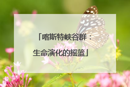 喀斯特峡谷群：生命演化的摇篮