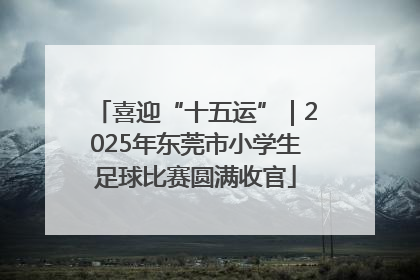 喜迎“十五运”｜2025年东莞市小学生足球比赛圆满收官