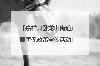 嘉祥县卧龙山街道开展医保政策宣传活动