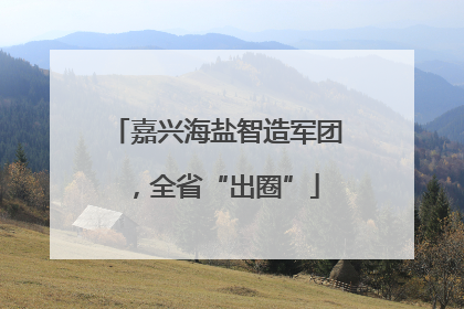 嘉兴海盐智造军团，全省“出圈”