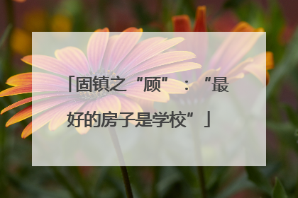 固镇之“顾”：“最好的房子是学校”