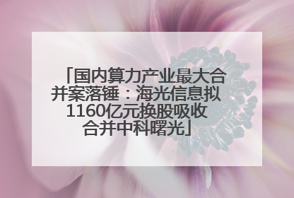 国内算力产业最大合并案落锤：海光信息拟1160亿元换股吸收合并中科曙光