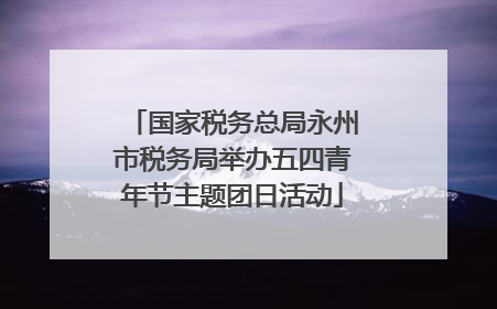 国家税务总局永州市税务局举办五四青年节主题团日活动