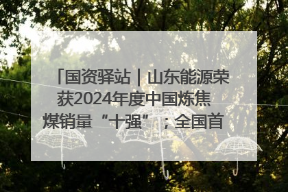 国资驿站｜山东能源荣获2024年度中国炼焦煤销量“十强”；全国首例铁路盖上智慧物流园钢结构主体完工