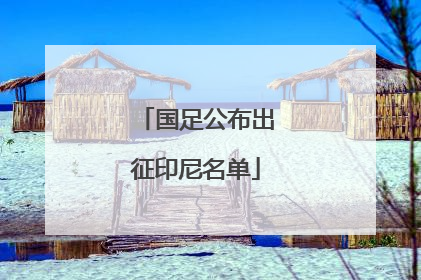 国足公布出征印尼名单