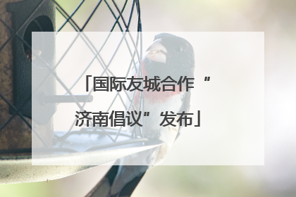 国际友城合作“济南倡议”发布