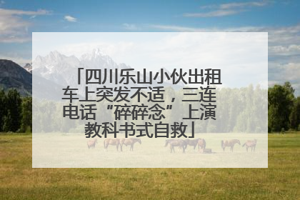四川乐山小伙出租车上突发不适，三连电话“碎碎念”上演教科书式自救