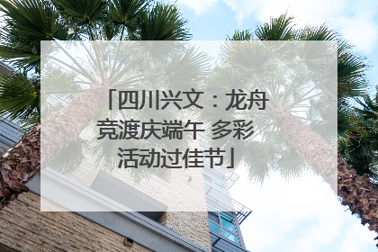四川兴文：龙舟竞渡庆端午 多彩活动过佳节
