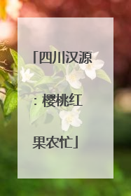 四川汉源：樱桃红 果农忙