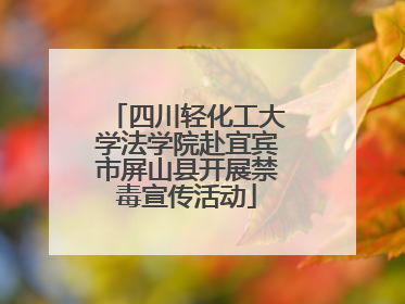 四川轻化工大学法学院赴宜宾市屏山县开展禁毒宣传活动