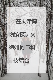 在天津博物馆探讨文物如何与科技结合
