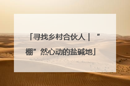寻找乡村合伙人｜“棚”然心动的盐碱地