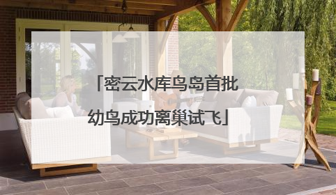 密云水库鸟岛首批幼鸟成功离巢试飞