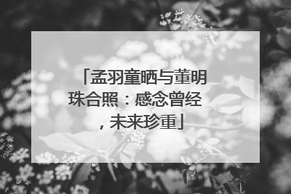 孟羽童晒与董明珠合照：感念曾经，未来珍重