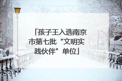 孩子王入选南京市第七批“文明实践伙伴”单位