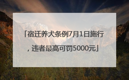 宿迁养犬条例7月1日施行，违者最高可罚5000元