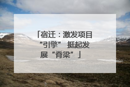 宿迁：激发项目“引擎” 挺起发展“脊梁”