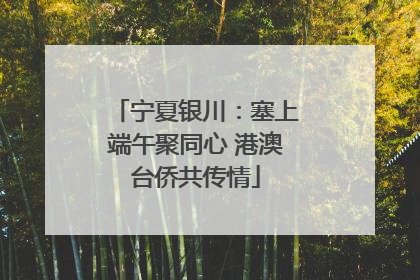 宁夏银川：塞上端午聚同心 港澳台侨共传情