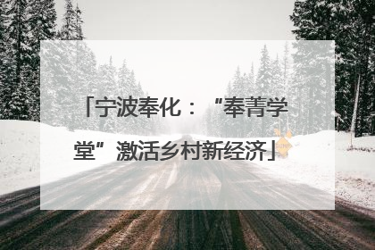宁波奉化：“奉菁学堂”激活乡村新经济