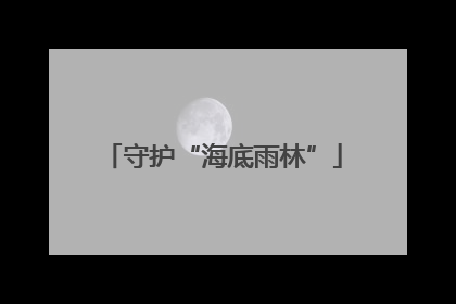 守护“海底雨林”