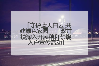 守护蓝天白云 共建绿色家园——双井镇深入开展秸秆禁烧入户宣传活动