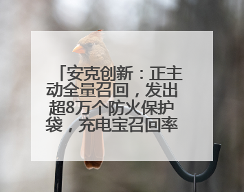 安克创新：正主动全量召回，发出超8万个防火保护袋，充电宝召回率已达10%
