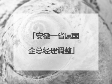 安徽一省属国企总经理调整