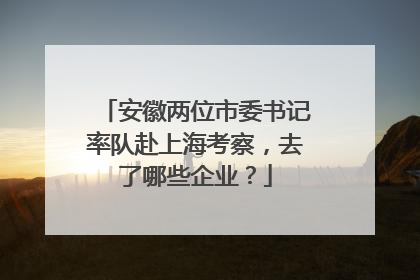 安徽两位市委书记率队赴上海考察，去了哪些企业？