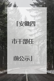 安徽四市干部任前公示