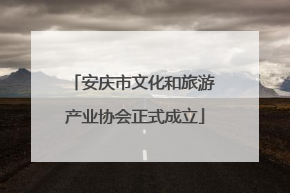 安庆市文化和旅游产业协会正式成立