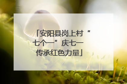 安阳县岗上村“七个一”庆七一 传承红色力量