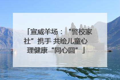 宣威羊场：“警校家社”携手 共绘儿童心理健康“同心圆”