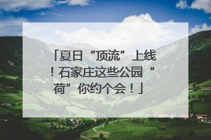 夏日“顶流”上线！石家庄这些公园“荷”你约个会！