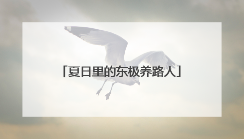 夏日里的东极养路人